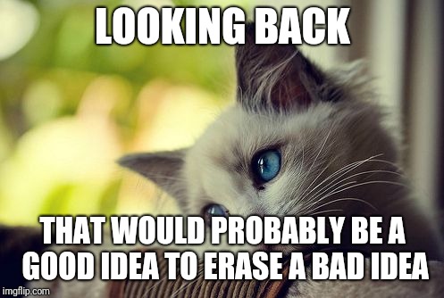 First World Problems Cat Meme | LOOKING BACK THAT WOULD PROBABLY BE A GOOD IDEA TO ERASE A BAD IDEA | image tagged in memes,first world problems cat | made w/ Imgflip meme maker