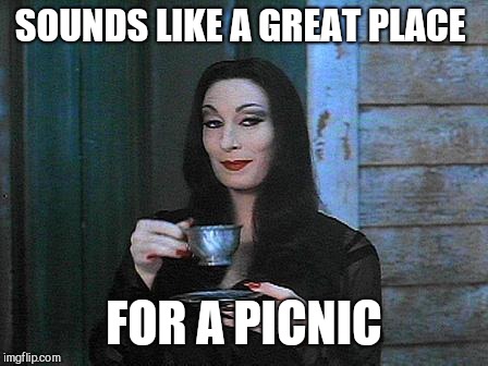 Morticia drinking tea | SOUNDS LIKE A GREAT PLACE FOR A PICNIC | image tagged in morticia drinking tea | made w/ Imgflip meme maker
