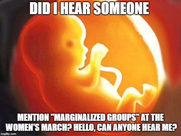 unborn child | DID I HEAR SOMEONE; MENTION "MARGINALIZED GROUPS" AT THE WOMEN'S MARCH? HELLO, CAN ANYONE HEAR ME? | image tagged in unborn child | made w/ Imgflip meme maker