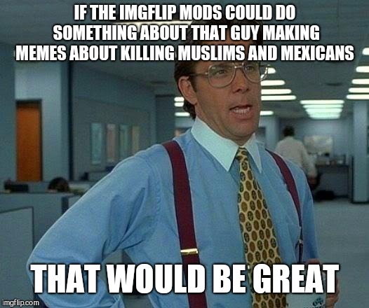 That Would Be Great Meme | IF THE IMGFLIP MODS COULD DO SOMETHING ABOUT THAT GUY MAKING MEMES ABOUT KILLING MUSLIMS AND MEXICANS; THAT WOULD BE GREAT | image tagged in memes,that would be great | made w/ Imgflip meme maker
