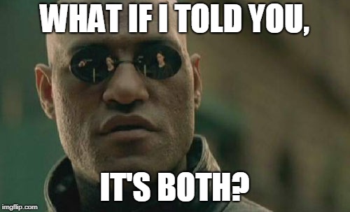 Matrix Morpheus Meme | WHAT IF I TOLD YOU, IT'S BOTH? | image tagged in memes,matrix morpheus | made w/ Imgflip meme maker