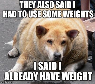 fat dog | THEY ALSO SAID I HAD TO USE SOME WEIGHTS I SAID I ALREADY HAVE WEIGHT | image tagged in fat dog | made w/ Imgflip meme maker