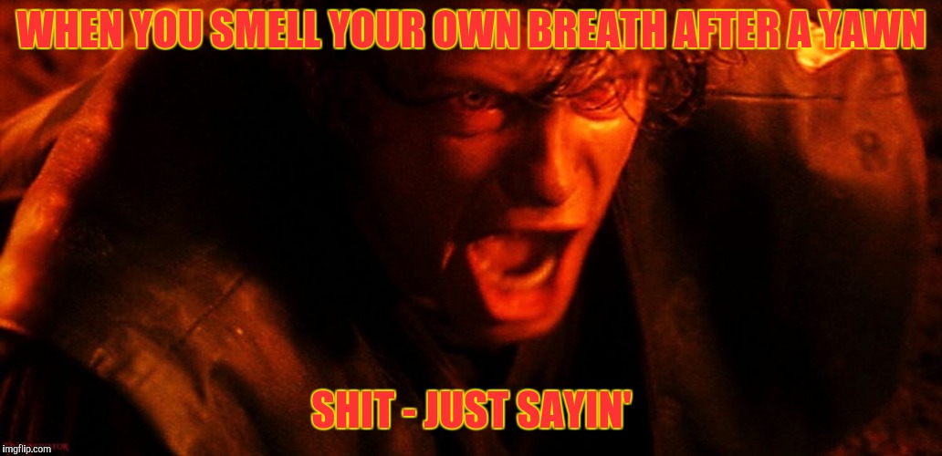 Anakin I Hate You | WHEN YOU SMELL YOUR OWN BREATH AFTER A YAWN SHIT - JUST SAYIN' | image tagged in anakin i hate you | made w/ Imgflip meme maker