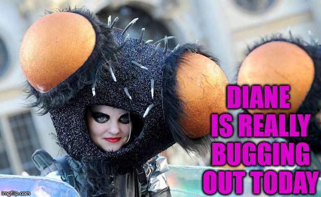 Her fly is showing. | DIANE IS REALLY BUGGING OUT TODAY | image tagged in memes,a bug's life,fly,costume,funny | made w/ Imgflip meme maker