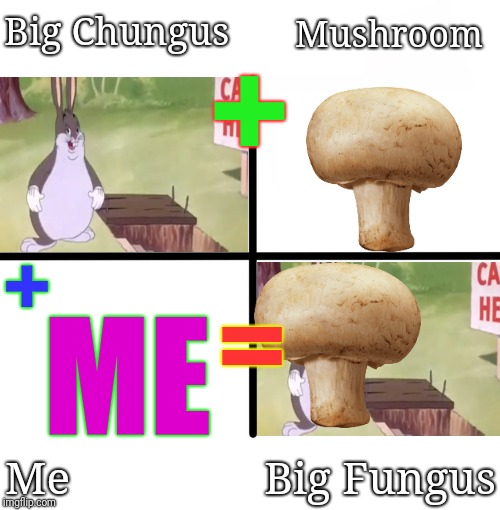 This Is My Ingenious. | Big Chungus; Mushroom; +; +; =; ME; Me                 Big Fungus | image tagged in memes,blank starter pack,big chungus,fungus,mushroom,funny | made w/ Imgflip meme maker