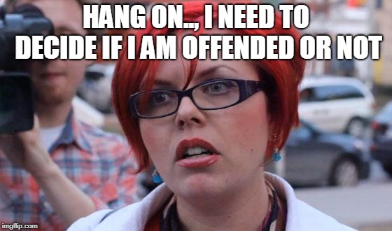 Angry Feminist | HANG ON.., I NEED TO DECIDE IF I AM OFFENDED OR NOT | image tagged in angry feminist | made w/ Imgflip meme maker