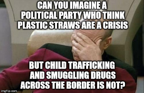Captain Picard Facepalm | CAN YOU IMAGINE A POLITICAL PARTY WHO THINK PLASTIC STRAWS ARE A CRISIS; BUT CHILD TRAFFICKING AND SMUGGLING DRUGS ACROSS THE BORDER IS NOT? | image tagged in memes,captain picard facepalm | made w/ Imgflip meme maker