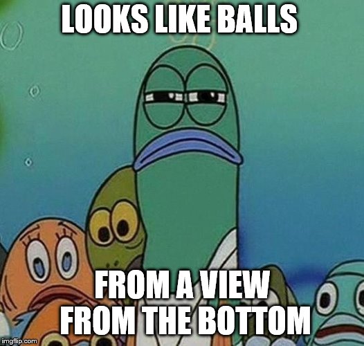 Squinting fish from Spongebob  | LOOKS LIKE BALLS FROM A VIEW FROM THE BOTTOM | image tagged in squinting fish from spongebob | made w/ Imgflip meme maker