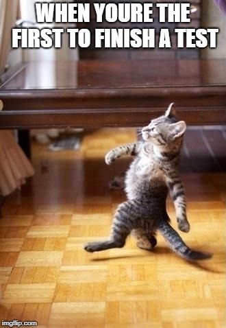 Cool Cat Stroll | WHEN YOURE THE FIRST TO FINISH A TEST | image tagged in memes,cool cat stroll | made w/ Imgflip meme maker