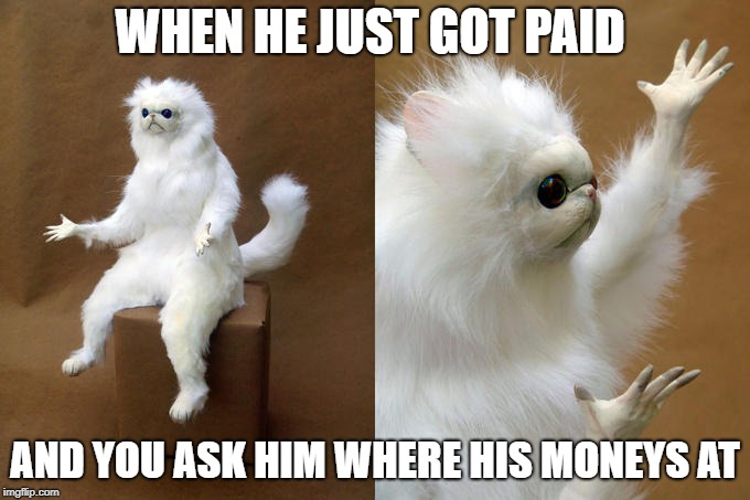 Persian Cat Room Guardian Meme | WHEN HE JUST GOT PAID; AND YOU ASK HIM WHERE HIS MONEYS AT | image tagged in memes,persian cat room guardian | made w/ Imgflip meme maker