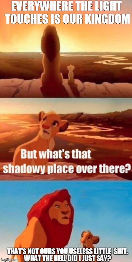 EVERYWHERE THE LIGHT TOUCHES IS OUR KINGDOM THAT'S NOT OURS YOU USELESS LITTLE  SHIT. WHAT THE HELL DID I JUST SAY? | made w/ Imgflip meme maker