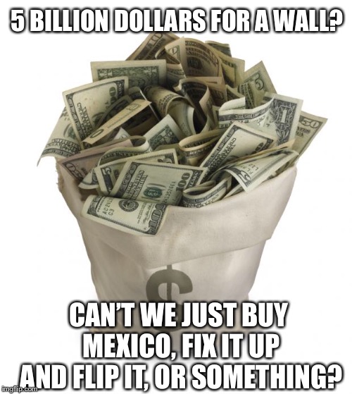 Bag of money | 5 BILLION DOLLARS FOR A WALL? CAN’T WE JUST BUY MEXICO, FIX IT UP AND FLIP IT, OR SOMETHING? | image tagged in bag of money,wall,trump,trump wall,flip,mexico | made w/ Imgflip meme maker