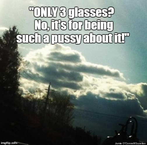 "ONLY 3 glasses?  No, it's for being such a pussy about it!" | made w/ Imgflip meme maker