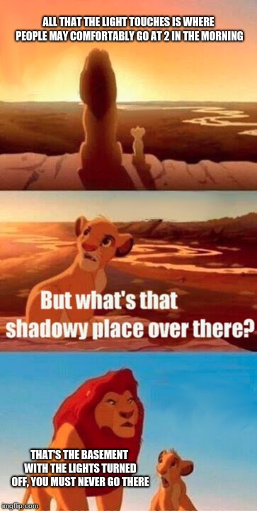 Simba Shadowy Place | ALL THAT THE LIGHT TOUCHES IS WHERE PEOPLE MAY COMFORTABLY GO AT 2 IN THE MORNING; THAT'S THE BASEMENT WITH THE LIGHTS TURNED OFF, YOU MUST NEVER GO THERE | image tagged in memes,simba shadowy place | made w/ Imgflip meme maker