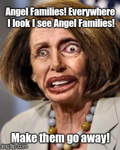 pelosi dead | Angel Families! Everywhere I look I see Angel Families! Make them go away! | image tagged in pelosi dead | made w/ Imgflip meme maker