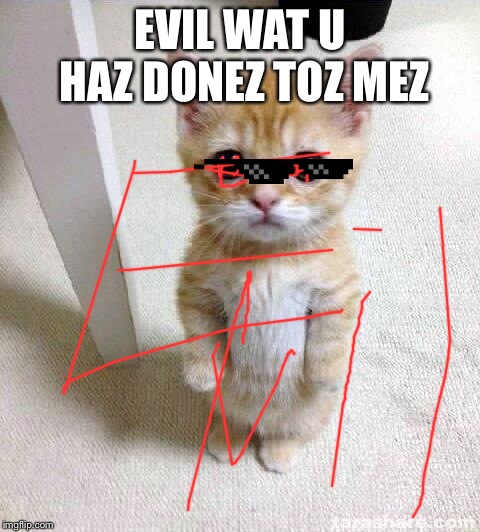 Cute Cat | EVIL WAT U HAZ DONEZ TOZ MEZ | image tagged in memes,cute cat | made w/ Imgflip meme maker