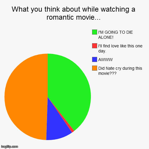 What you think about while watching a romantic movie... | image tagged in funny,pie charts | made w/ Imgflip chart maker