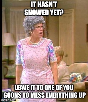 Winter Storm Harper?? |  IT HASN’T SNOWED YET? LEAVE IT TO ONE OF YOU GOONS TO MESS EVERYTHING UP | image tagged in thelma harper,snow,winter storm harper,winter 2019,memes | made w/ Imgflip meme maker