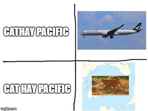 Cathay Pacific pun | CATHAY PACIFIC; CAT HAY PACIFIC | image tagged in cathay,cathay pacific,cats,hay,pacific,aviation | made w/ Imgflip meme maker