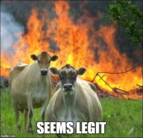 Evil Cows Meme | SEEMS LEGIT | image tagged in memes,evil cows | made w/ Imgflip meme maker