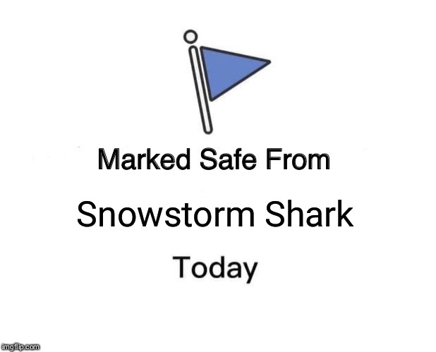 Marked Safe From | Snowstorm Shark | image tagged in marked safe from facebook meme template | made w/ Imgflip meme maker