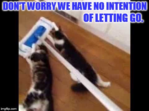 DON'T WORRY WE HAVE NO INTENTION OF LETTING GO. | made w/ Imgflip meme maker