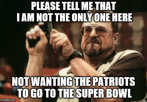 Plz tell me that I am not the only one. | PLEASE TELL ME THAT I AM NOT THE ONLY ONE HERE; NOT WANTING THE PATRIOTS TO GO TO THE SUPER BOWL | image tagged in memes,am i the only one around here,nfl | made w/ Imgflip meme maker