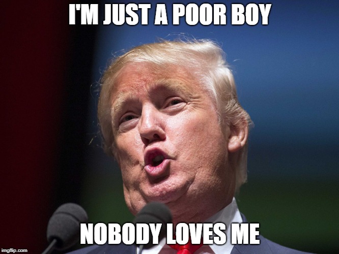 donald trump huge | I'M JUST A POOR BOY; NOBODY LOVES ME | image tagged in donald trump huge | made w/ Imgflip meme maker