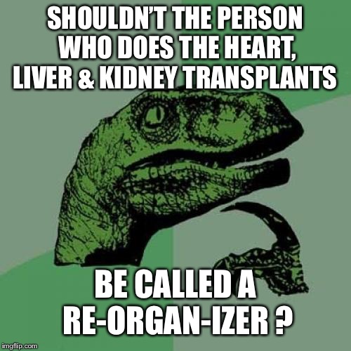 Philosoraptor Meme | SHOULDN’T THE PERSON WHO DOES THE HEART, LIVER & KIDNEY TRANSPLANTS; BE CALLED A RE-ORGAN-IZER ? | image tagged in memes,philosoraptor | made w/ Imgflip meme maker