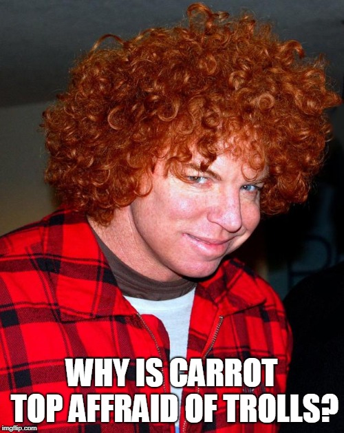 carrot top | WHY IS CARROT TOP AFFRAID OF TROLLS? | image tagged in carrot top | made w/ Imgflip meme maker