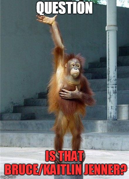 Monkey Raising Hand | QUESTION IS THAT BRUCE/KAITLIN JENNER? | image tagged in monkey raising hand | made w/ Imgflip meme maker