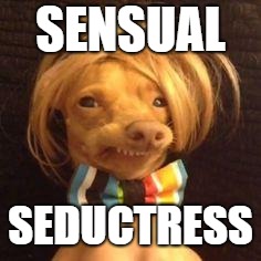 phteven dog | SENSUAL; SEDUCTRESS | image tagged in phteven dog | made w/ Imgflip meme maker