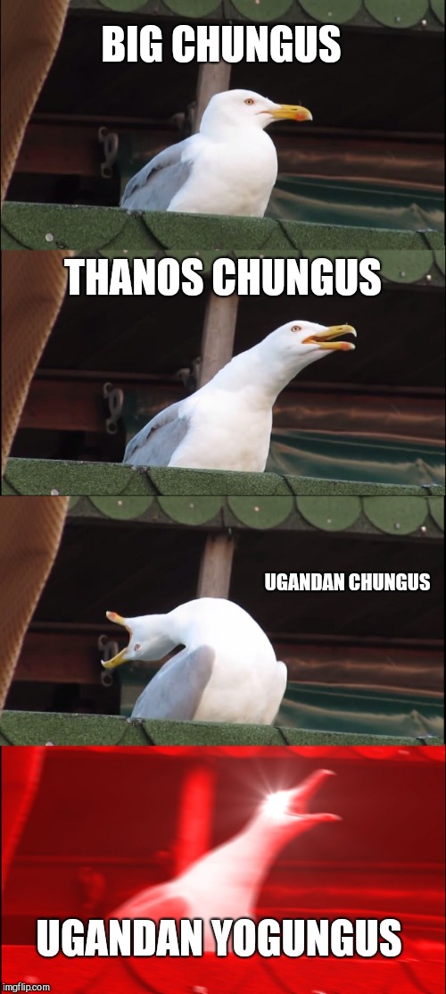 Inhaling Seagull Meme | BIG CHUNGUS; THANOS CHUNGUS; UGANDAN CHUNGUS; UGANDAN YOGUNGUS | image tagged in memes,inhaling seagull | made w/ Imgflip meme maker