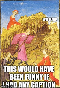 WTF MAN? THIS WOULD HAVE BEEN FUNNY IF I HAD ANY CAPTION | image tagged in memes,funny memes,wtf,deer,king,caption this | made w/ Imgflip meme maker