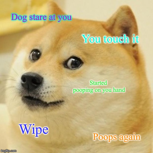 Doge Meme | Dog stare at you; You touch it; Started pooping on you hand; Wipe; Poops again | image tagged in memes,doge | made w/ Imgflip meme maker