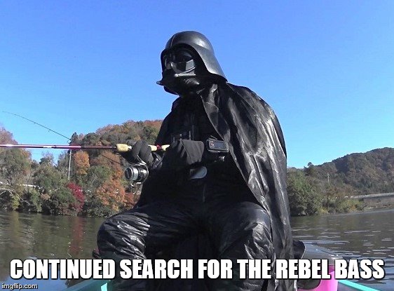 CONTINUED SEARCH FOR THE REBEL BASS | made w/ Imgflip meme maker