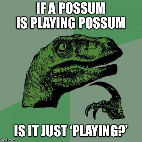 Philosoraptor | IF A POSSUM IS PLAYING POSSUM; IS IT JUST ‘PLAYING?’ | image tagged in memes,philosoraptor | made w/ Imgflip meme maker