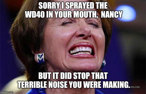 It stops squeaks, squeals, and scandalmongers. | SORRY I SPRAYED THE WD40 IN YOUR MOUTH,  NANCY; BUT IT DID STOP THAT TERRIBLE NOISE YOU WERE MAKING. | image tagged in nancy pelosi,shrill,libtard,shutup | made w/ Imgflip meme maker