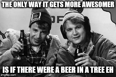 THE ONLY WAY IT GETS MORE AWESOMER IS IF THERE WERE A BEER IN A TREE EH | made w/ Imgflip meme maker