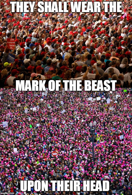 neoliberals are right wing  | THEY SHALL WEAR THE; MARK OF THE BEAST; UPON THEIR HEAD | image tagged in donald trump,hillary clinton,alt right | made w/ Imgflip meme maker