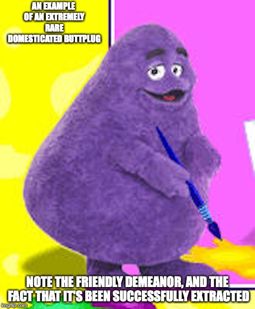 Grimace | AN EXAMPLE OF AN EXTREMELY RARE DOMESTICATED BUTTPLUG; NOTE THE FRIENDLY DEMEANOR, AND THE FACT THAT IT'S BEEN SUCCESSFULLY EXTRACTED | image tagged in grimace,memes,mcdonalds | made w/ Imgflip meme maker