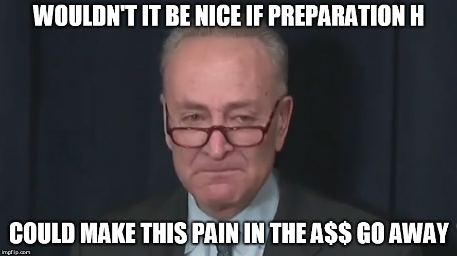 Chuck Schumer Crying | WOULDN'T IT BE NICE IF PREPARATION H; COULD MAKE THIS PAIN IN THE A$$ GO AWAY | image tagged in chuck schumer crying | made w/ Imgflip meme maker