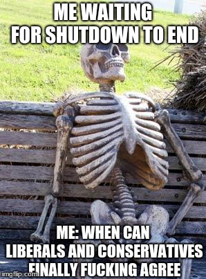 Waiting Skeleton Meme | ME WAITING FOR SHUTDOWN TO END; ME: WHEN CAN LIBERALS AND CONSERVATIVES FINALLY FUCKING AGREE | image tagged in memes,waiting skeleton | made w/ Imgflip meme maker