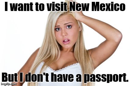 Dumb Blonde | I want to visit New Mexico But I don't have a passport. | image tagged in dumb blonde | made w/ Imgflip meme maker
