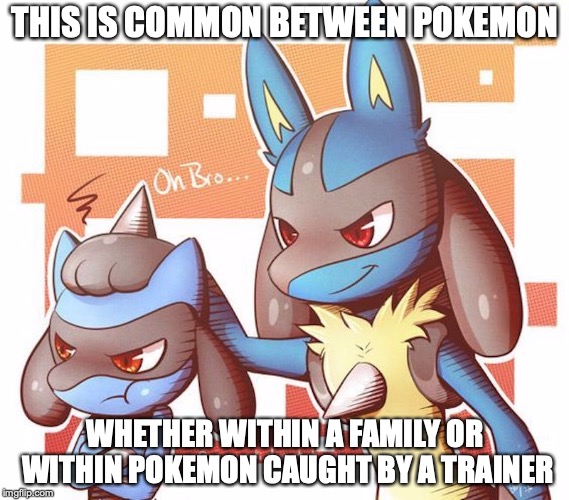 Unhappy Riolu | THIS IS COMMON BETWEEN POKEMON; WHETHER WITHIN A FAMILY OR WITHIN POKEMON CAUGHT BY A TRAINER | image tagged in riolu,lucario,pokemon,memes | made w/ Imgflip meme maker