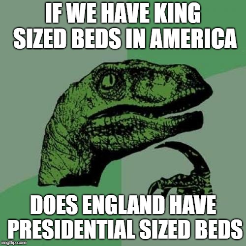 Philosoraptor | IF WE HAVE KING SIZED BEDS IN AMERICA; DOES ENGLAND HAVE PRESIDENTIAL SIZED BEDS | image tagged in memes,philosoraptor | made w/ Imgflip meme maker