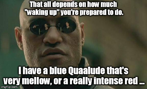 Matrix Morpheus Meme | That all depends on how much "waking up" you're prepared to do. I have a blue Quaalude that's very mellow, or a really intense red ... | image tagged in memes,matrix morpheus | made w/ Imgflip meme maker
