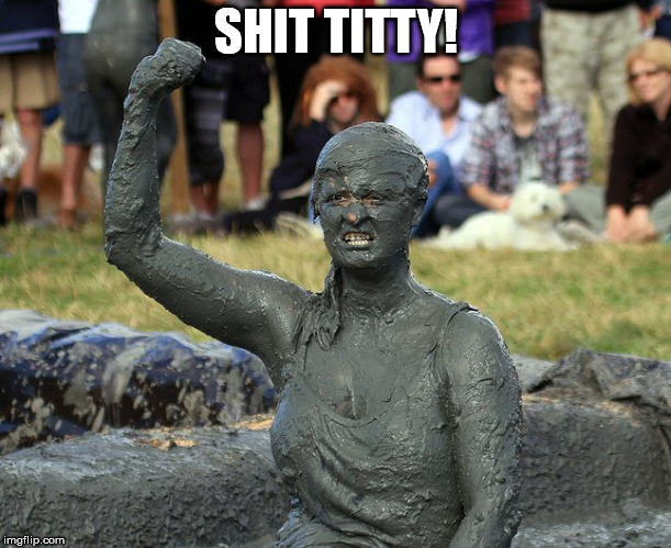 Mud Wrestling | SHIT TITTY! | image tagged in mud wrestling | made w/ Imgflip meme maker