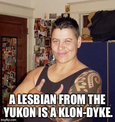 A LESBIAN FROM THE YUKON IS A KLON-DYKE. | image tagged in bull dyke | made w/ Imgflip meme maker