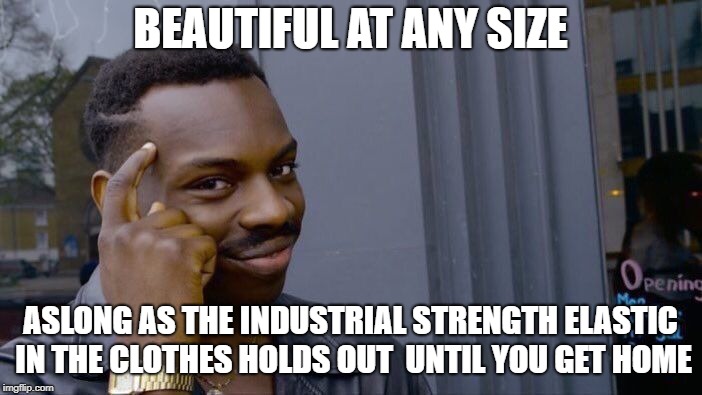 Roll Safe Think About It Meme | BEAUTIFUL AT ANY SIZE ASLONG AS THE INDUSTRIAL STRENGTH ELASTIC IN THE CLOTHES HOLDS OUT  UNTIL YOU GET HOME | image tagged in memes,roll safe think about it | made w/ Imgflip meme maker